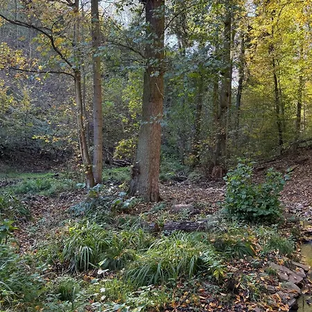 V Udoli